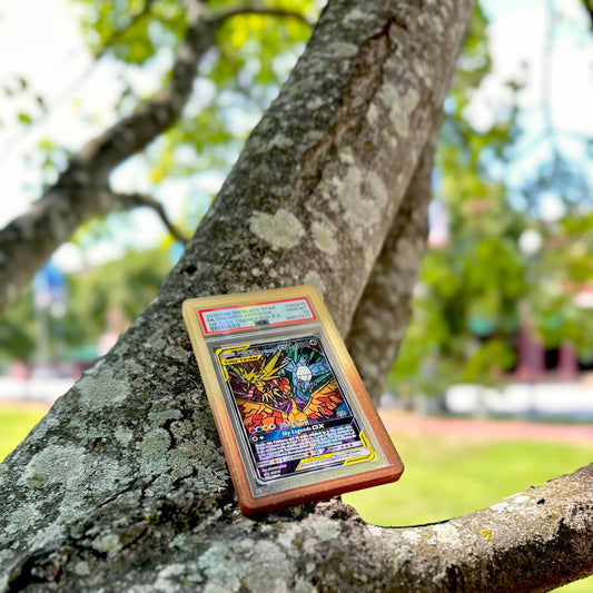 Moltres & Zapdos & Articuno GX